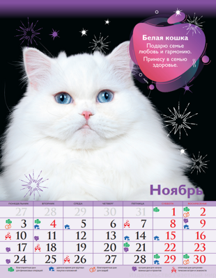 К85 магия 12 котов 230х300 внутр1